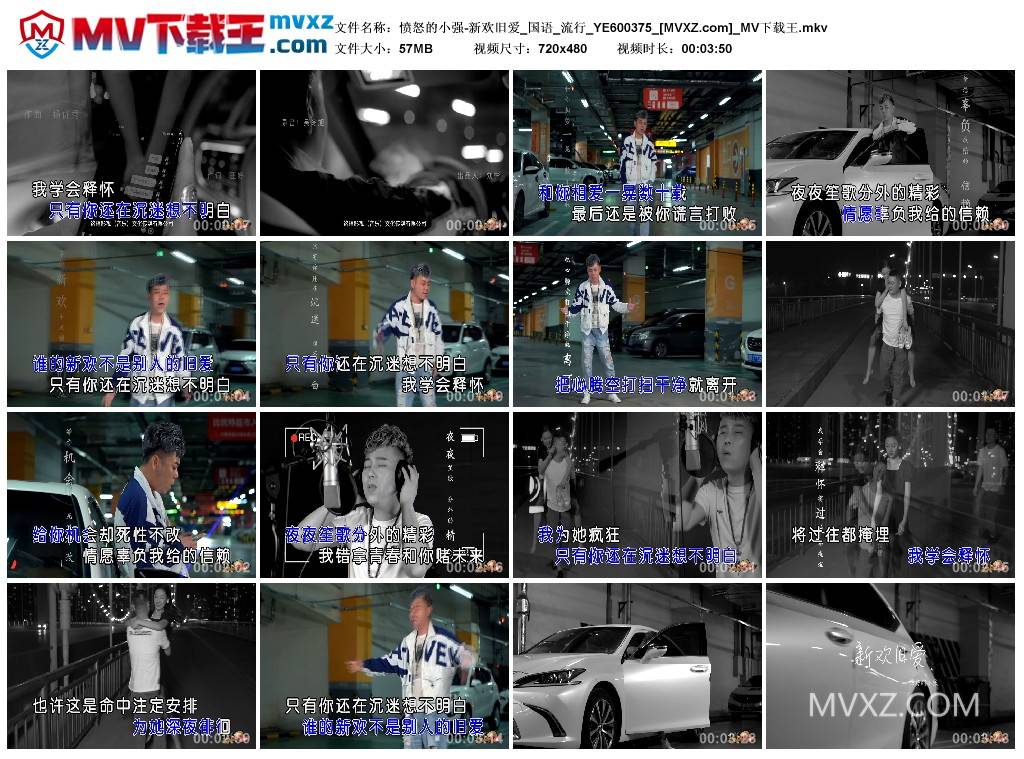 愤怒的小强-新欢旧爱_国语_流行_YE600375